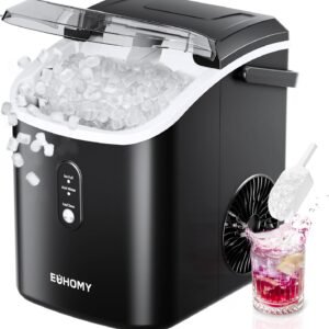 Ice maker
